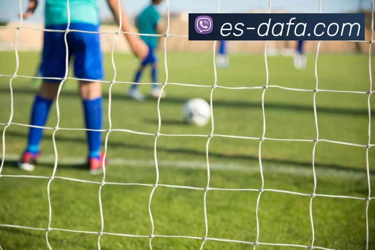 大发彩票平台生态图