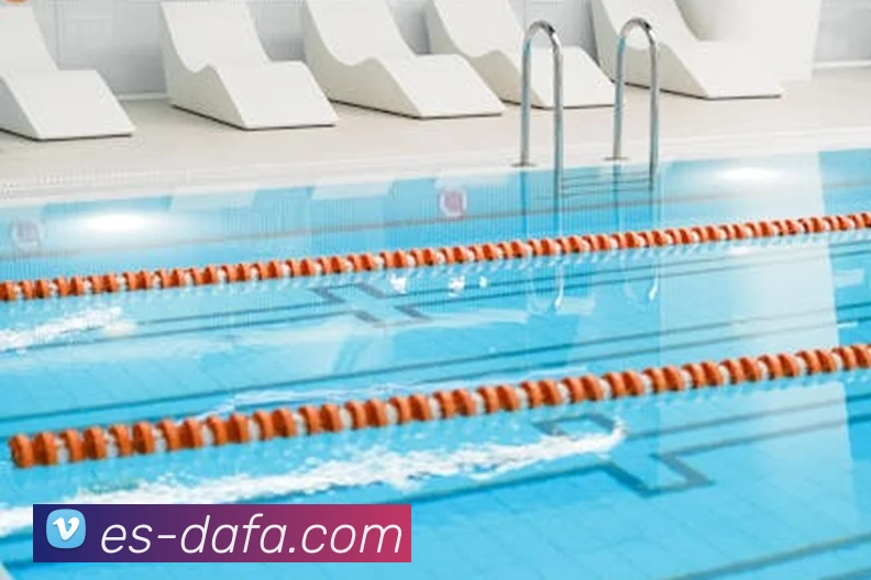 大发彩票APP 封面图